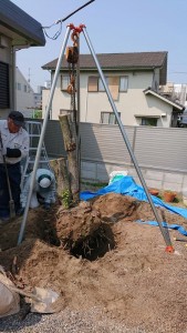 植栽撤去